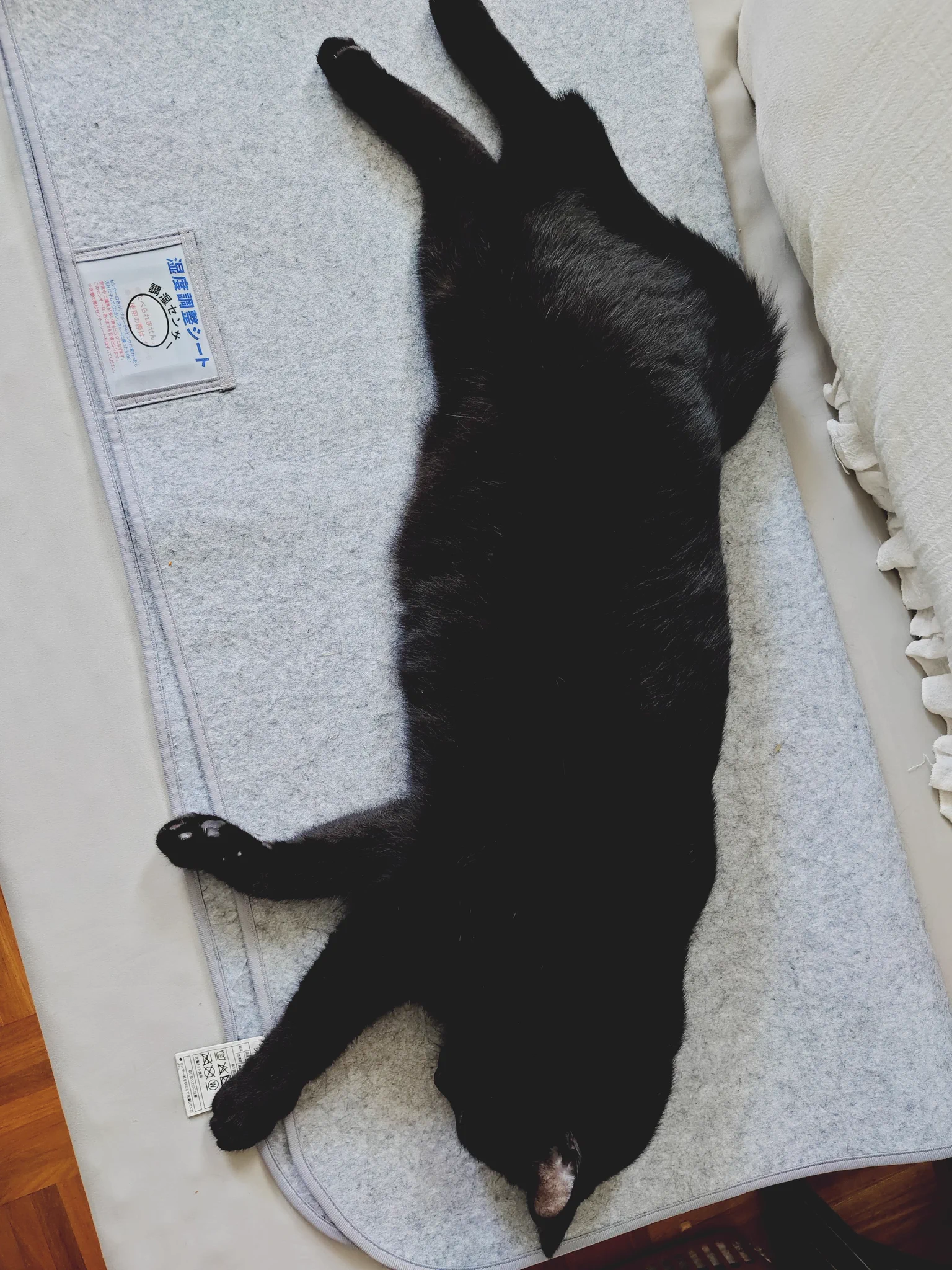 依里 على X: 