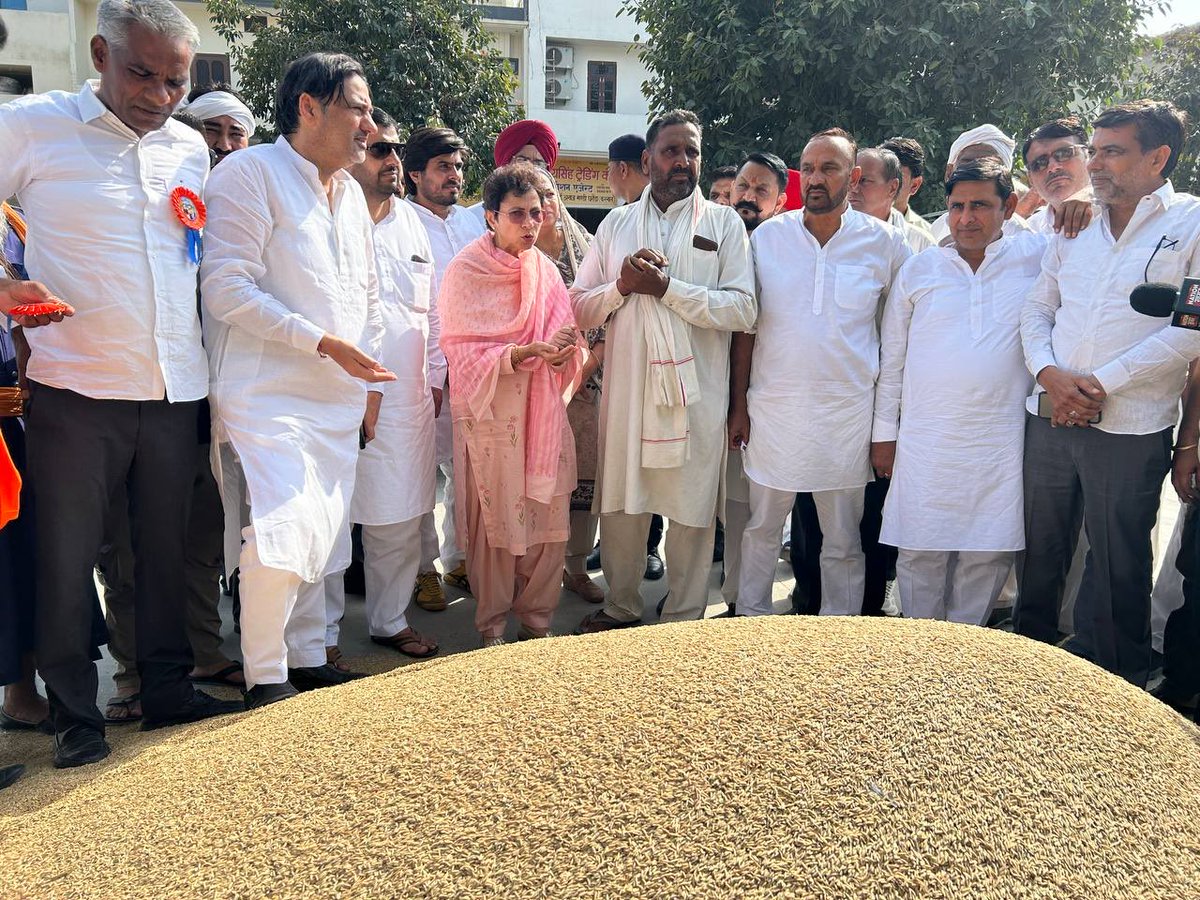 Kumari_Selja's tweet photo. आज अनाज मंडी, घरौंडा, करनाल में किसानों, आढ़तियों और मजदूरों से मुलाकात कर धान खरीद में आ रही समस्याओं को सुना।

किसान अपनी मेहनत की फसल लेकर मंडियों में परेशान हैं, आढ़ती और मजदूर भी कठिनाइयों का सामना कर रहे हैं, लेकिन सरकार समाधान देने के बजाय पोर्टल पोर्टल खेल रही है। किसानों को उनकी फसल का सही दाम नहीं मिल पा रहा है। हालात इतने गंभीर हैं कि परेशान होकर एक किसान ने आत्महत्या तक का प्रयास किया।

इसके उपरांत प्रेस वार्ता में इन मुद्दों को प्रमुखता से उठाया। सरकार को पोर्टल और प्रक्रियाओं में किसानों को उलझाने के बजाय खरीद व्यवस्था को सुचारू कर उनकी उपज का उचित दाम सुनिश्चित करना चाहिए।

प्रेस वार्ता में मतदाता सूचियों और चुनावी प्रक्रिया से जुड़े वोट चोरी के गंभीर सवालों पर भी अपनी बात रखी। लोकसभा में नेता प्रतिपक्ष श्री राहुल गांधी जी लगातार इन सवालों को देश के सामने उठा रहे हैं। प्रत्येक नागरिक के मताधिकार और लोकतांत्रिक प्रक्रिया की पारदर्शिता की रक्षा करना हमारी सामूहिक जिम्मेदारी है।