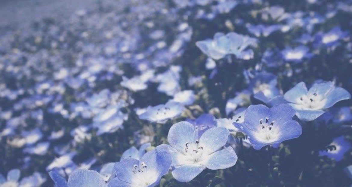 wpulr's tweet photo. ︎︎⟡お迎え用 https://t.co/qegSf7dU9M