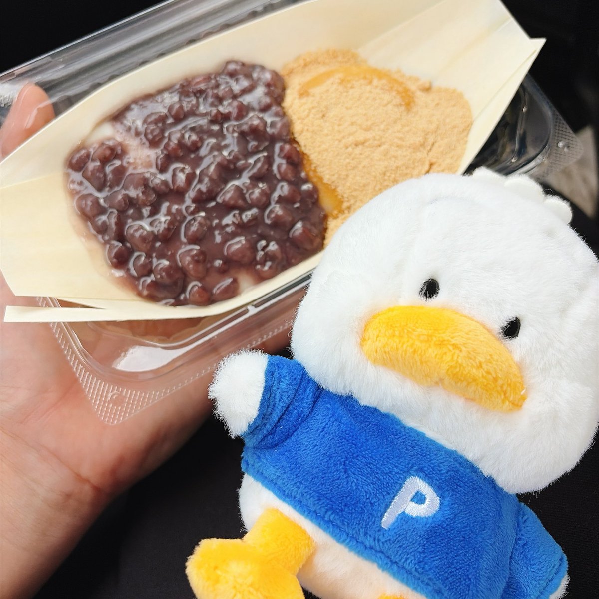 uusagi_11's tweet photo. しょんぼりペックルとお出かけ https://t.co/Qj825apS6u