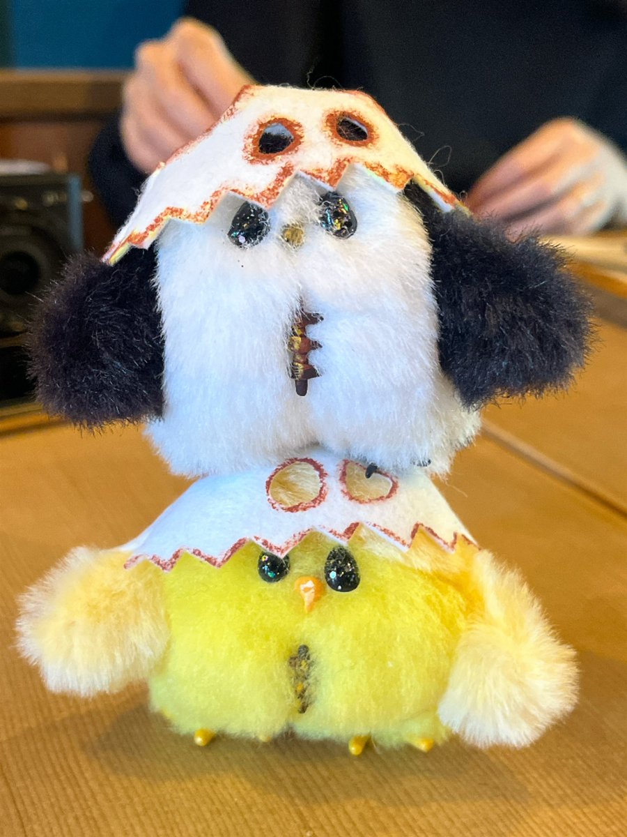 V9Aeq's tweet photo. フラウロスの瞳 闇魔法具店さんよりかわい子ちゃんをお迎えしました✨️ https://t.co/gFuRBLxFxp