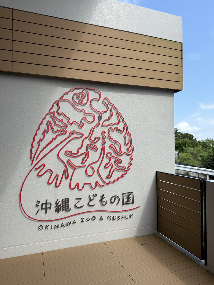 penguincat47's tweet photo. こちら初めて来ました！
天気も良くて、ほどよい大きさの園でした🦒
また来たいです。
#沖縄こどもの国 https://t.co/fGW0YIH3az