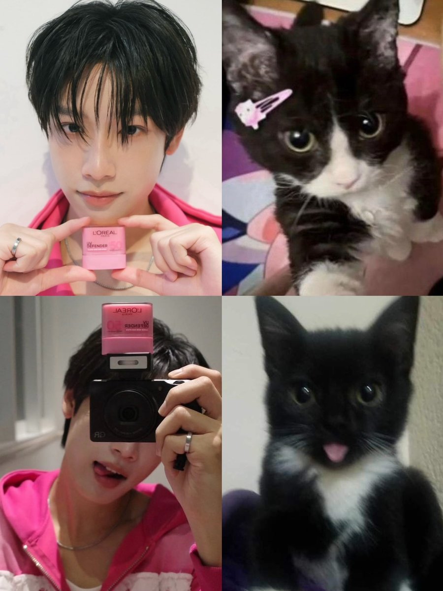 moodyfenrir's tweet photo. หากแมวคิดจะครองโลกก็ปล่อยให้แมวครองไป เวลานี้ข้าพเจ้าสนใจอยู่เพียงเรื่องเดียว คือทำอย่างไร จึงจะได้ครองใจแมว https://t.co/9kfkqZ5jTS
