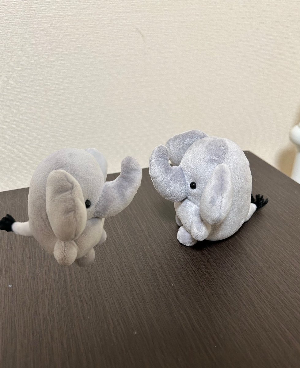 maruankiii's tweet photo. Z:さあ、かいぬしに「おやつは毎回シャインマスカットかとらやのあんやきかモロゾフのプリンにしろ！」と交渉するんだ！

ぞ:やめて、いまはでてこないで、Z… https://t.co/XAu7vDG3S1