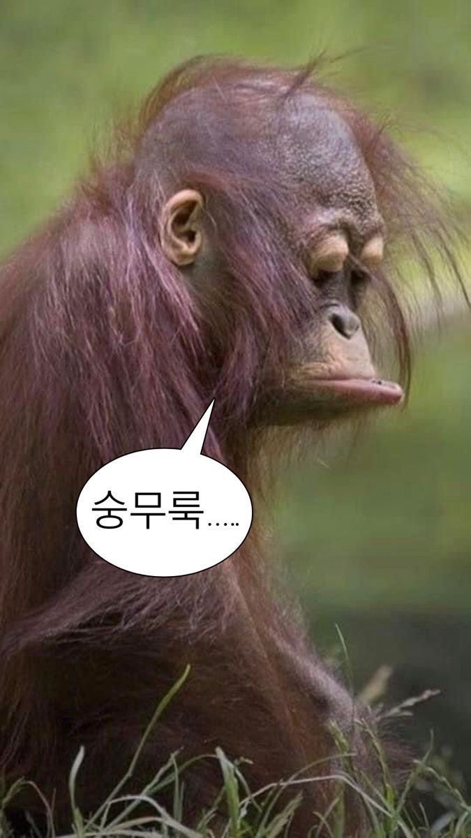 maratanghooloo's tweet photo. 트위터에 좀 더 빨리 적응해ㅐ서 얼마없는 트친들이라도 붙잡아야겟다…. https://t.co/GQSNhzgmgL