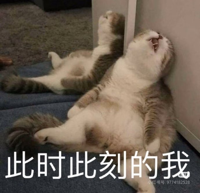 12qianling's tweet photo. 终于做好了
虽然表情字符会显示成??的问题还没有解决……
但是千泠真的已经力竭了(⇀‸↼‶)
总之
千泠的榨金💰小游戏正式上线啦❗
https://t.co/3CWrrbNS84
后续千泠会继续精进自己写代码能力的(趴)
这次就麻烦各位小狗充当千泠的试验品啦❤️
#文游 #ATM #贡奴 #雌堕 #榨金
#伪娘 https://t.co/vkycDcnLWb