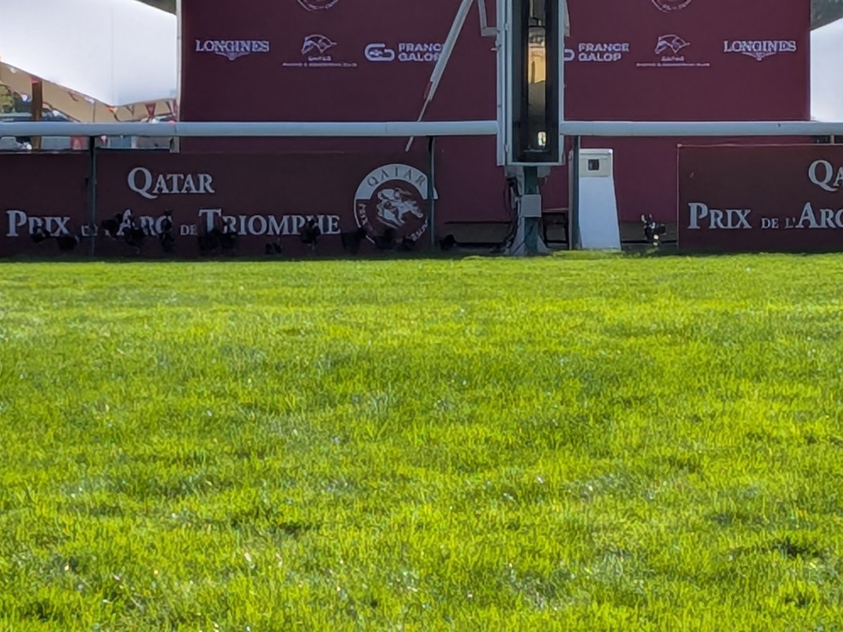 JRA_Special's tweet photo. 【#凱旋門賞 現地情報】
パリロンシャン競馬場は気持ちの良い晴天！
現地時間9時30分発表の馬場状態は「BON SOUPLE」です。
担当者は「計測値は各地点の平均値だが、ゴール前はもう少し柔らかい」とお話されてました。

👇馬場状態の見方などフランス競馬のルール
https://t.co/6XuqfeNPMO https://t.co/qDkhPGdLyr