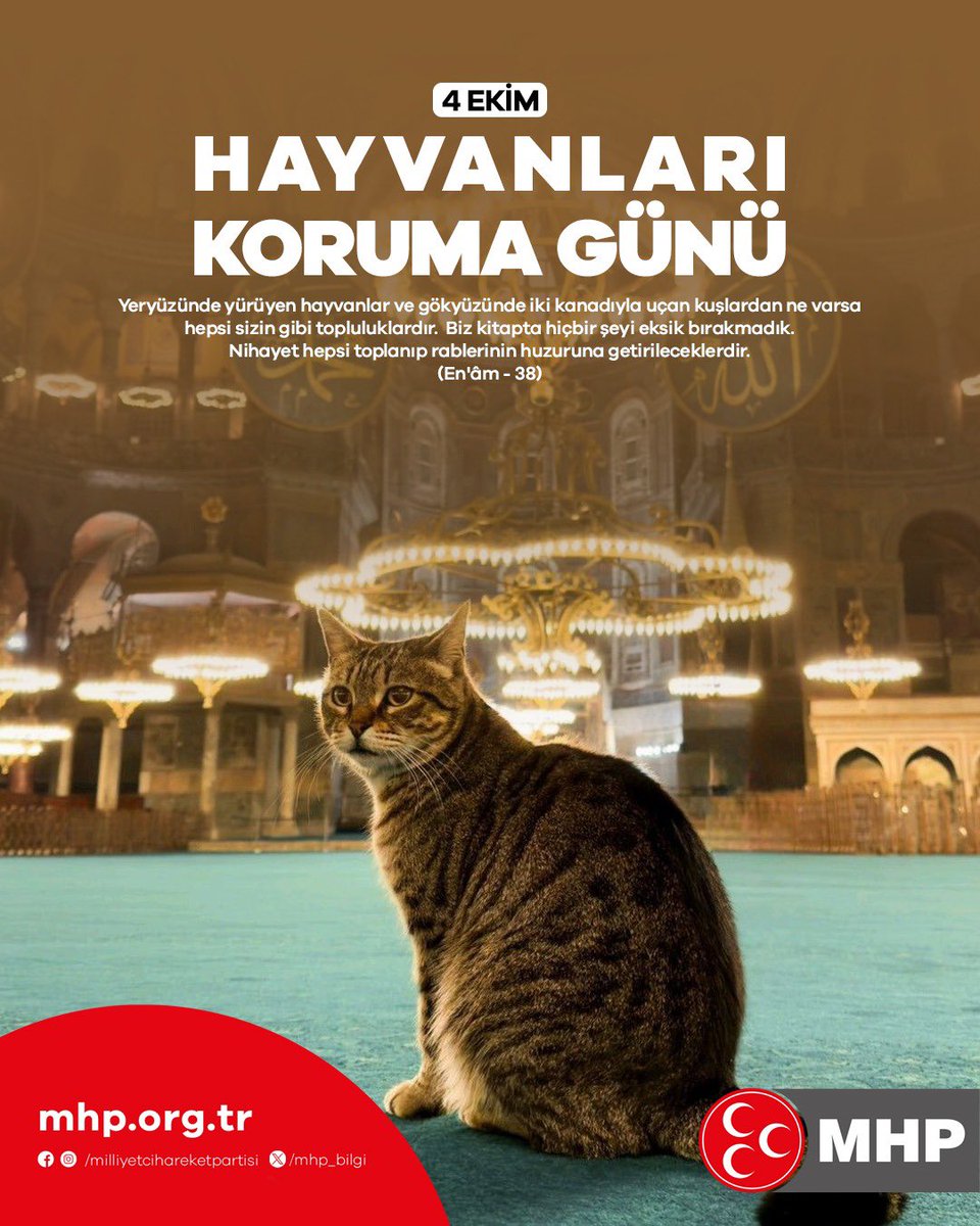 EminVaran12's tweet photo. #4EkimHayvanlarıKorumaGünü Kutlu Olsun https://t.co/Y45NIQKIDQ