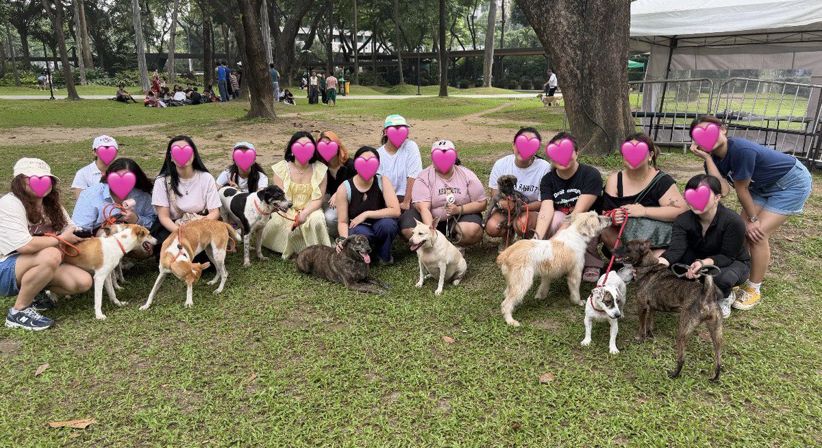 zkdlscoups's tweet photo. how do i start this #PlayWithYoon #PlaydateWithYoon message? 🐾
THANK YOU SO MUCH, sa lahat ng nag-donate, to everyone who reposted, to everyone who have sent us their words of support, my moots, my non-oomfs, to those who reached out, thank you :)
we all know that this playdate is special because it’s jeonghan’s first birthday celeb after his military enlistment yay, and of course, this event wont be possible without our litol carat furrends 🖤
to my friends, yannie, zazzy, mika, nyx— for not hesitating to join, and for making time kahit alam kong busy din sila.
to my new found friends bcs of this event, sobrang happy ko makita kayo na happy din with our rescues earlier.
on to the next!