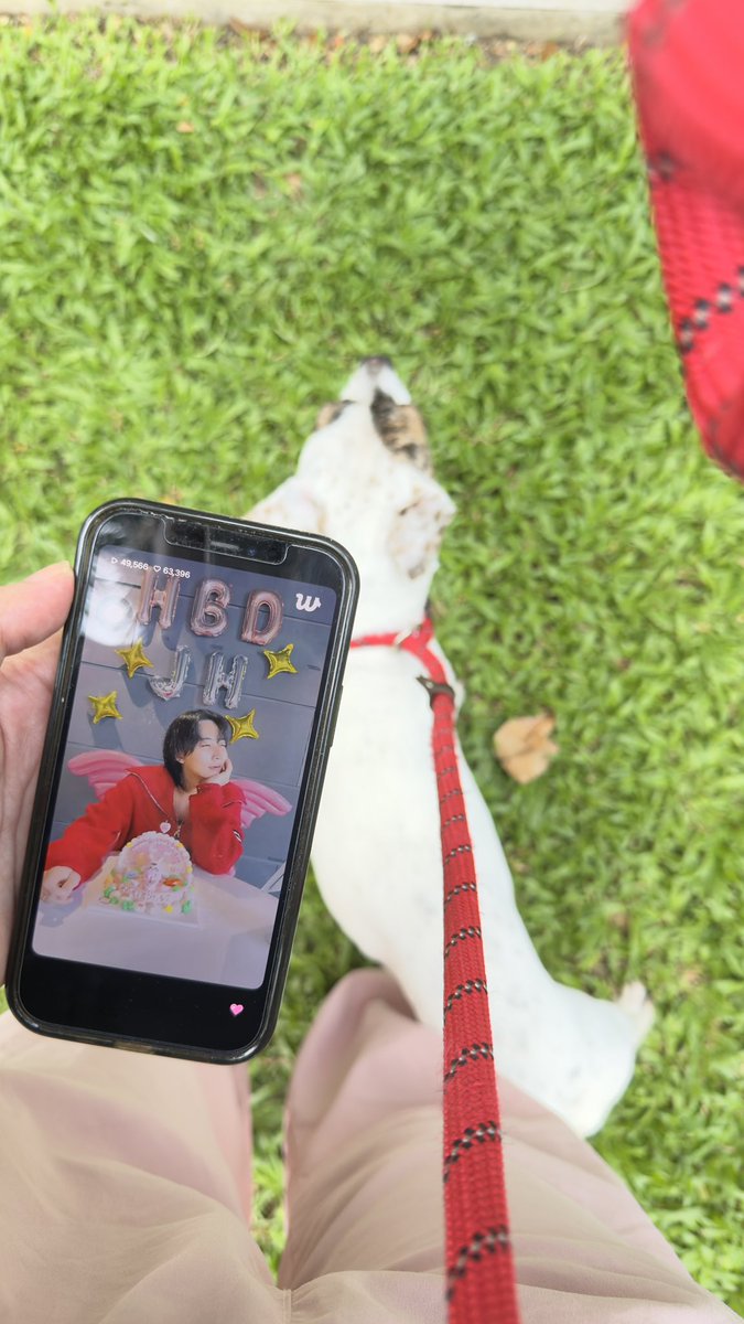 zkdlscoups's tweet photo. say hi to my first doggo partner, little busilak 🤍 gets ko naman bakit sya una kong partner bcs of my busilak heart eME. naabutan pa nga ng live ni birthday boy 🎈 #PlayWithYoon https://t.co/PnKYN7Vyj5