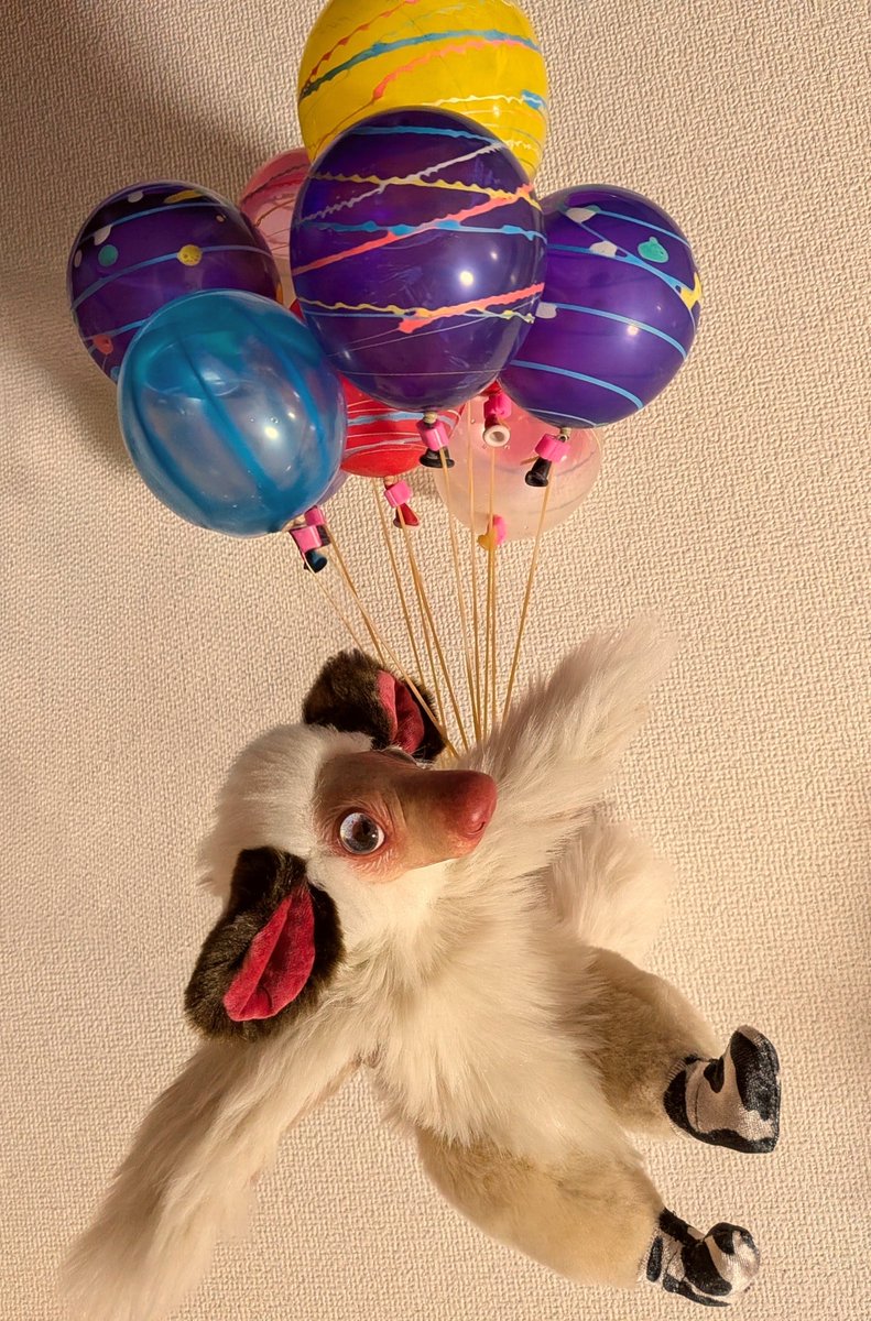 panchair3's tweet photo. わーい🎈🕊️♩わーい🎈🕊️♩
#ぬいぐるみの時間 #ぬい撮り https://t.co/84lIBdXFSj
