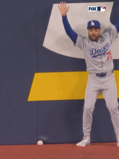 owndodgerhaters's tweet photo. I love when stadiums can decide the outcome of a game https://t.co/NALlHAahci