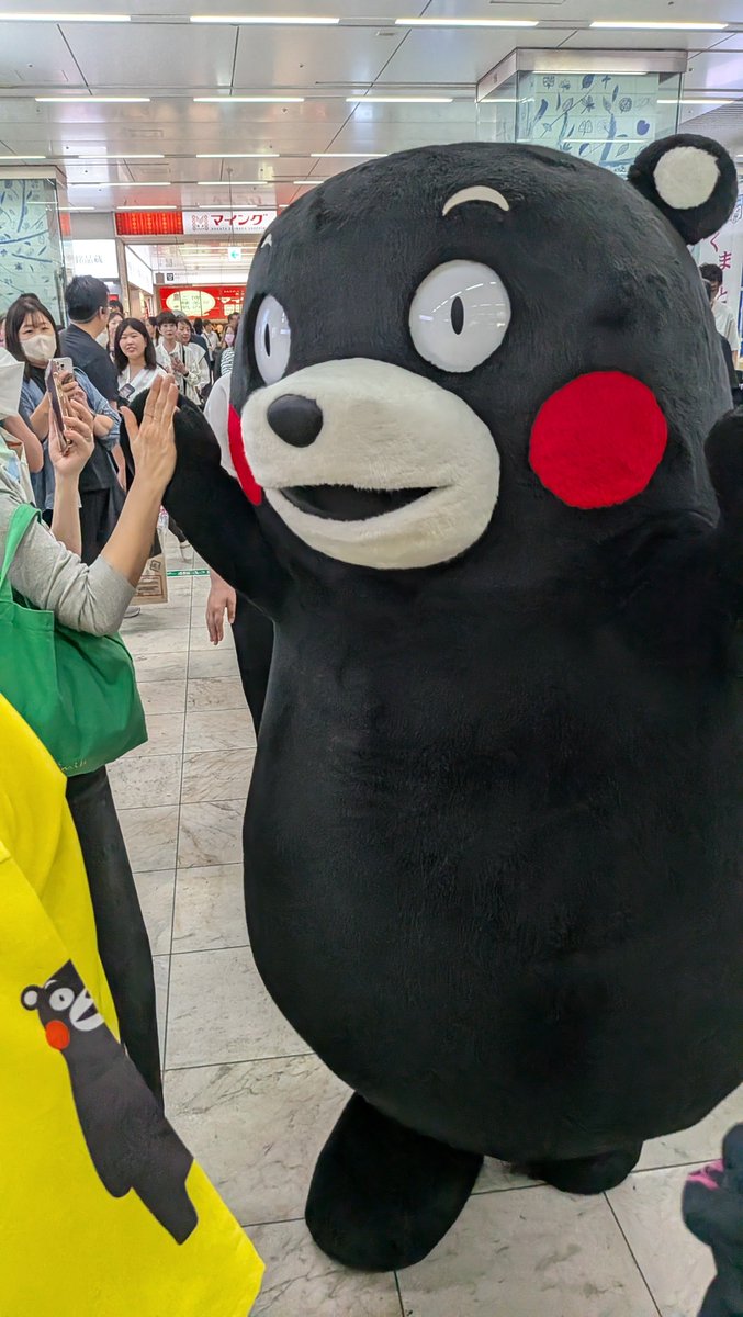 ks2ts2rs21's tweet photo. 博多駅でバッタリ会った！
初くまモン。
目の前。
可愛い♡
#くまモン
#博多駅 https://t.co/DCtvLVynUS