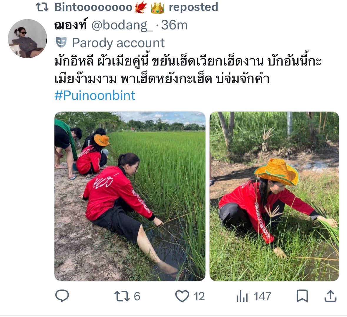 dekmai_ishere's tweet photo. ไม่ปฏิเสธ แปลว่า https://t.co/LwFHik4kGs