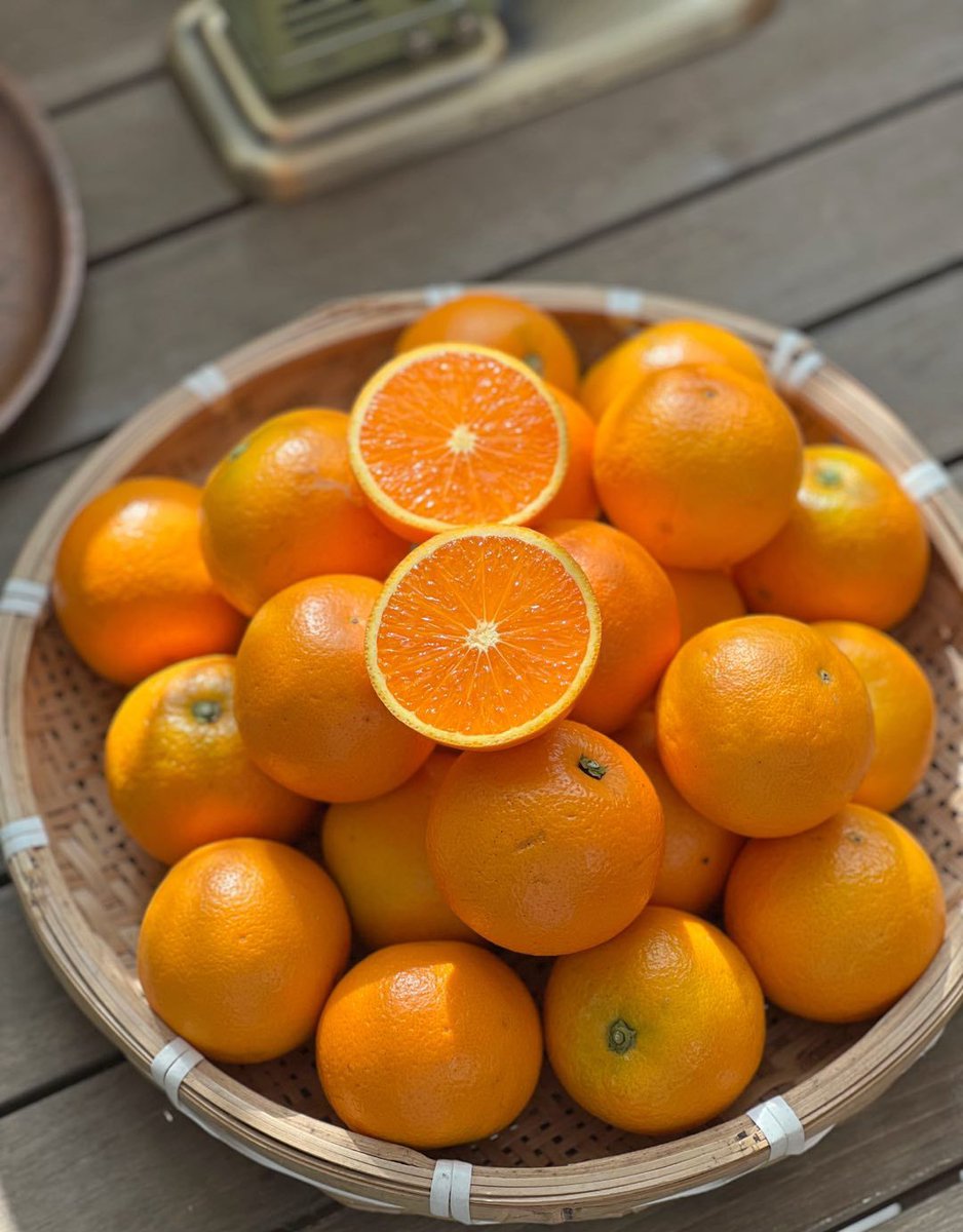 SaraHuntsajy's tweet photo. This citrus fruit, from the cellar storage of a traditional orchard, has a suitable sweet-sour taste—so fresh and delightful! https://t.co/BH0RBmuzMl