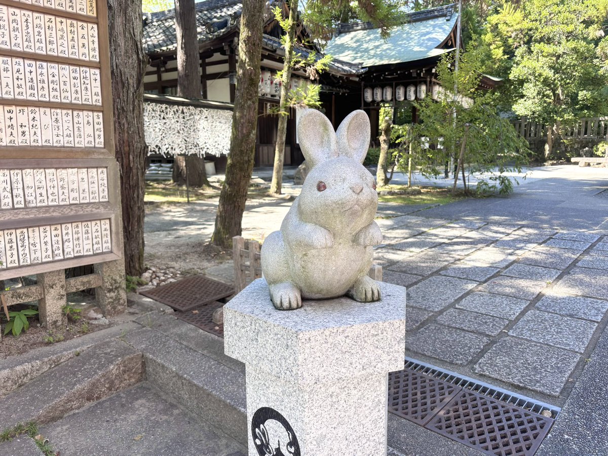 pigkumma's tweet photo. 📍교토 오카자키 신사

토끼 오마모리 완전 귀여움 , , 🐇💕 https://t.co/VoWx2eAKF2
