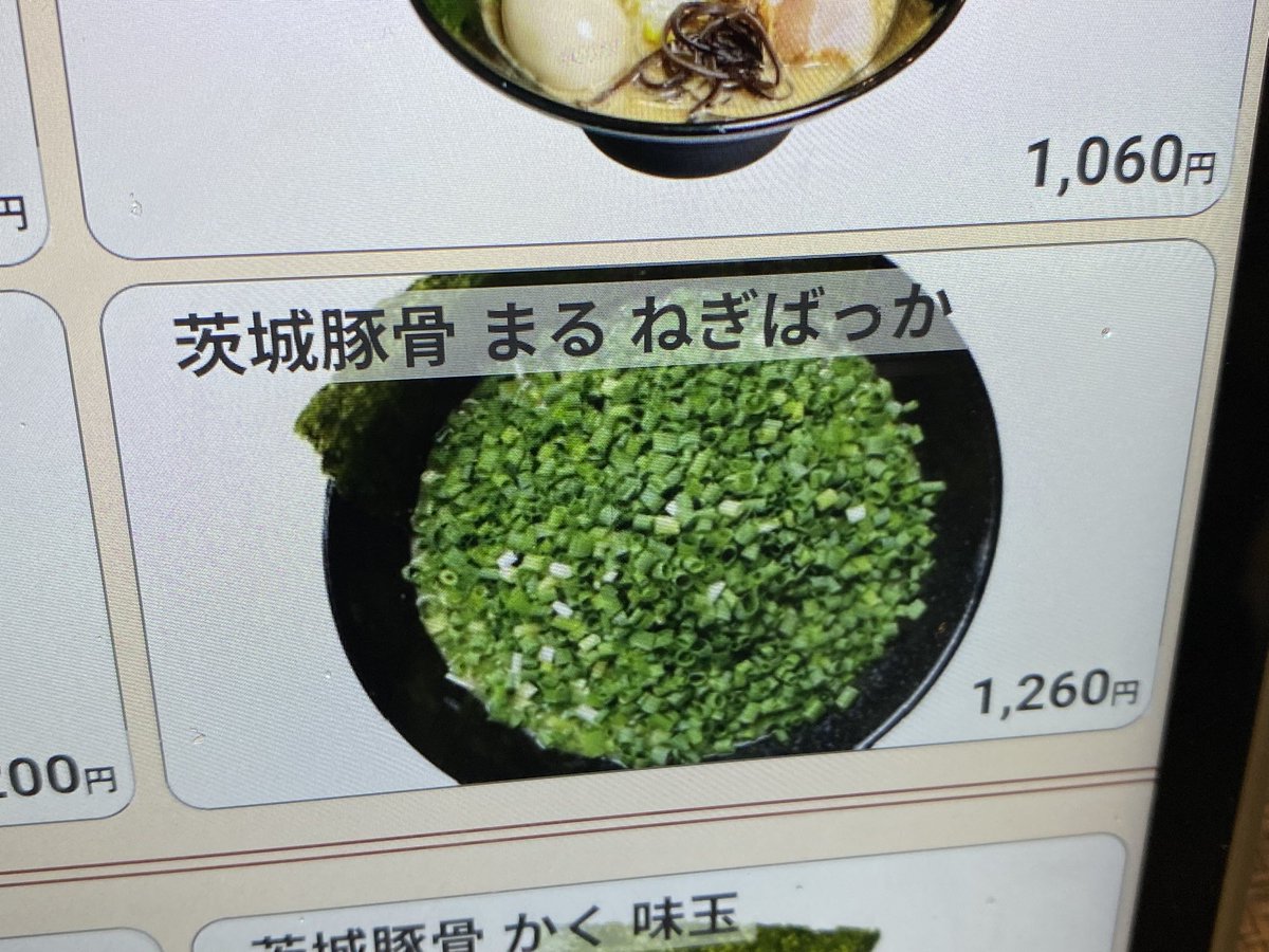 Jacob_Starrett's tweet photo. おはよう😴
ほこたろうのほこたろうだよ📕

食べすぎて苦しいのです今‼️
メニューにある、ネギだけの丼にしておけばよかったかしら？ https://t.co/G4ZjoVgDHe