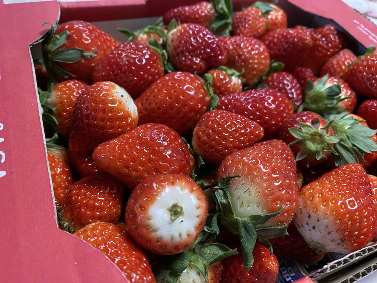 wizdy's tweet photo. え！？？
佐賀県が魅力度ランキング最下位！？
やった、いつものやつやーん！
これで自虐的にPRできるから良いやん！！

いちごさん
伊万里牛を使った、とき里サラダ
そらりのパフェ
ベルボアーズのブルーベリーカンパーニュ

たくさん美味しい物あるからね！ https://t.co/L2PE9oQxWs