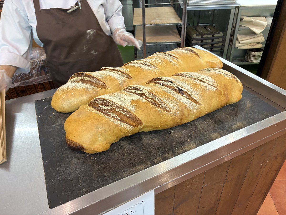 wizdy's tweet photo. え！？？
佐賀県が魅力度ランキング最下位！？
やった、いつものやつやーん！
これで自虐的にPRできるから良いやん！！

いちごさん
伊万里牛を使った、とき里サラダ
そらりのパフェ
ベルボアーズのブルーベリーカンパーニュ

たくさん美味しい物あるからね！ https://t.co/L2PE9oQxWs