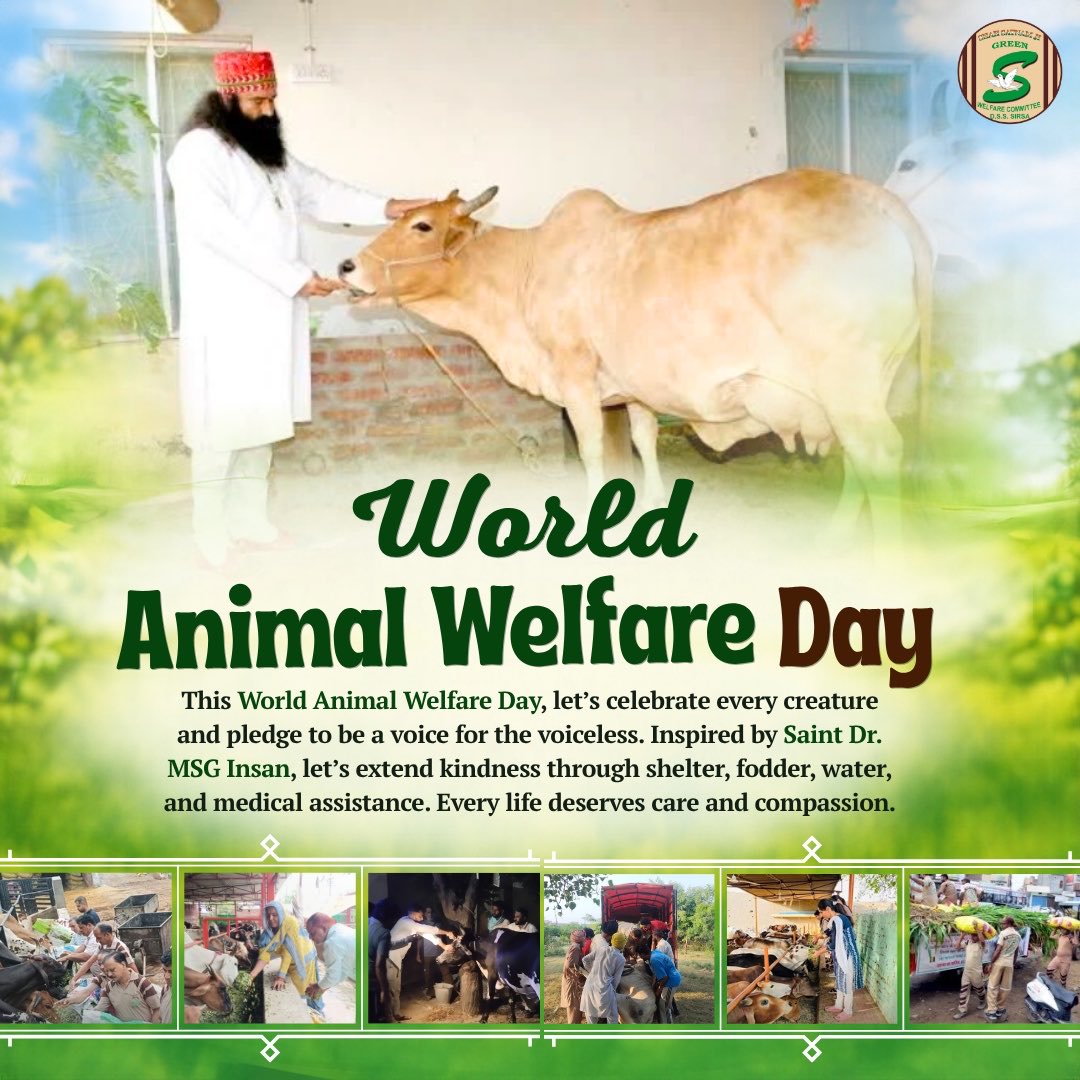 GreenSwelfares's tweet photo. Every compassionate action sends a powerful message: no life is too small to matter. This Animal Welfare Day, let’s make our humanity visible through kindness, care, and compassion. https://t.co/gtPsLEve4n
