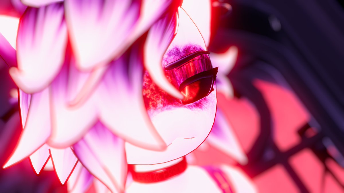 NeedyAiku's tweet photo. "This is a test. I've accepted this test to stand victorious against my past. A person grows once they are able to defeat their weaker self. Wouldn't you agree, Jean Pierre Polnareff?" https://t.co/p3tjrKhf6p