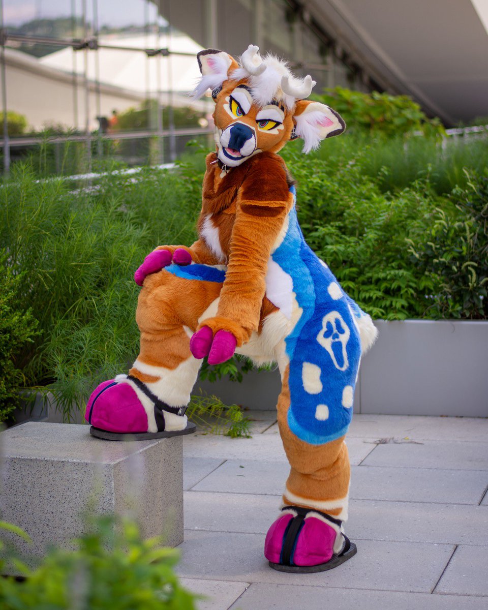 MojoYote's tweet photo. It genuinely fills me with so much joy when ppl tell me they love how fun/ expressive I am in suit, like you get me kicking my feet irl telling me that :’)💖

What is the fun of being a big fluffy animal, if not to be a little creaturrr https://t.co/7cMSiqQnsU