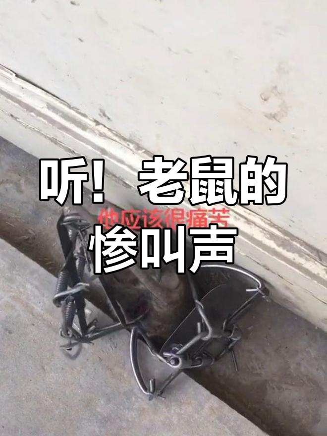ZenithScrojyzu's tweet photo. A small mouse accidentally fell into the deep pit, started to cough fiercely, and the rough breath circled loudly—what an amusing scene! https://t.co/04pwOPKPpx