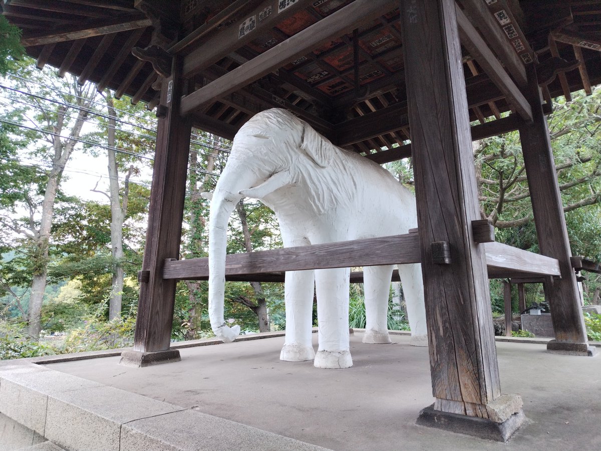 konyanko2's tweet photo. #ヤマノススメ聖地巡礼
チャッピー頼りのひとり旅2日目 https://t.co/A42pHl3bcn