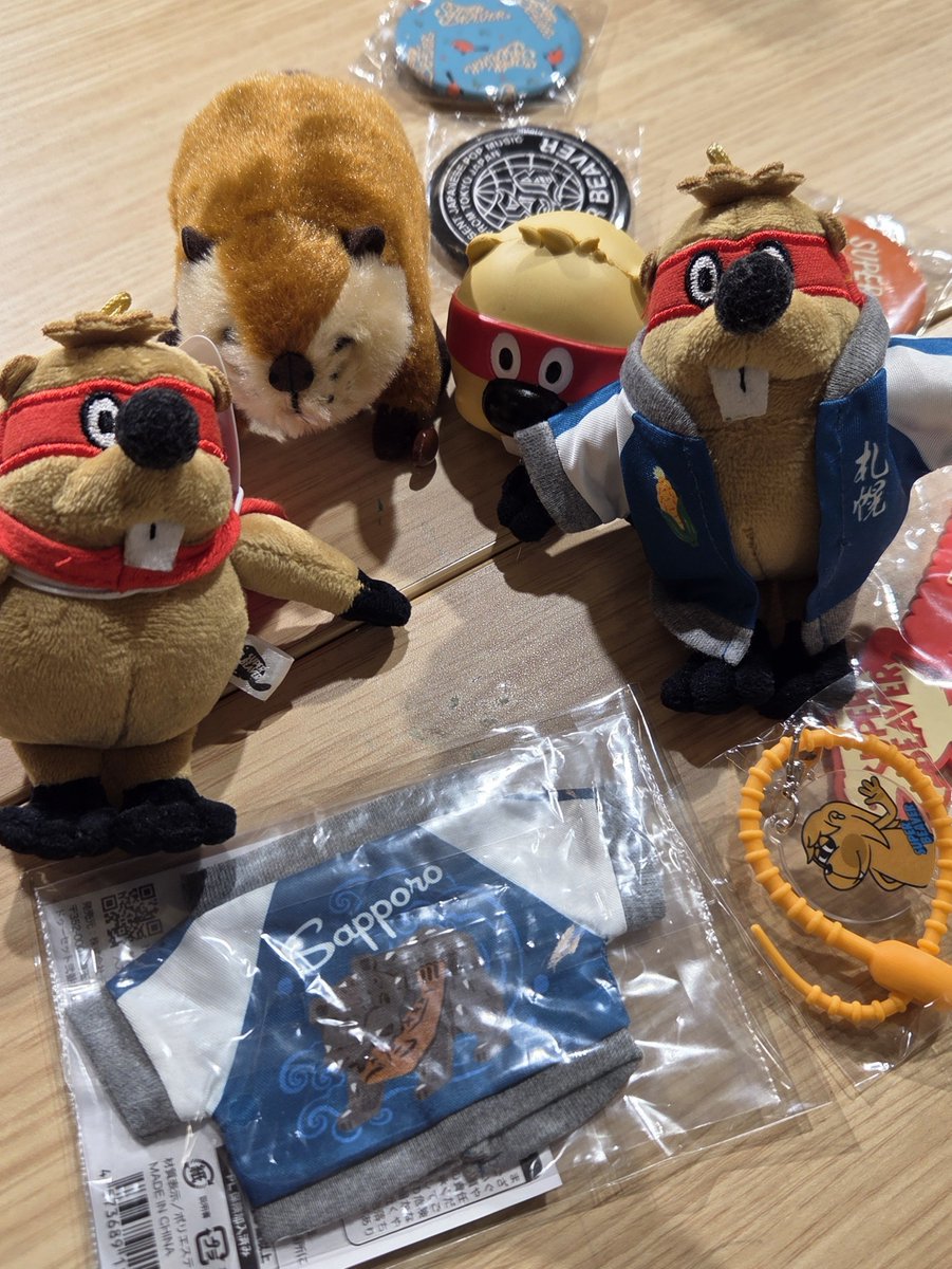 ak___my's tweet photo. ビーバー会🦫from SAPPORO https://t.co/EJZMe5K6Y3