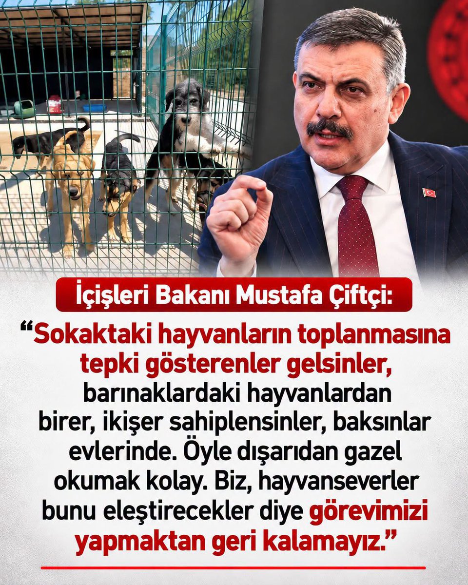 S214734's tweet photo. Hayvan severleri barınaklara acilen bekliyorlar yetkililer gidip alın barınaktan.🤣🤣 https://t.co/YbbCNKsMzj