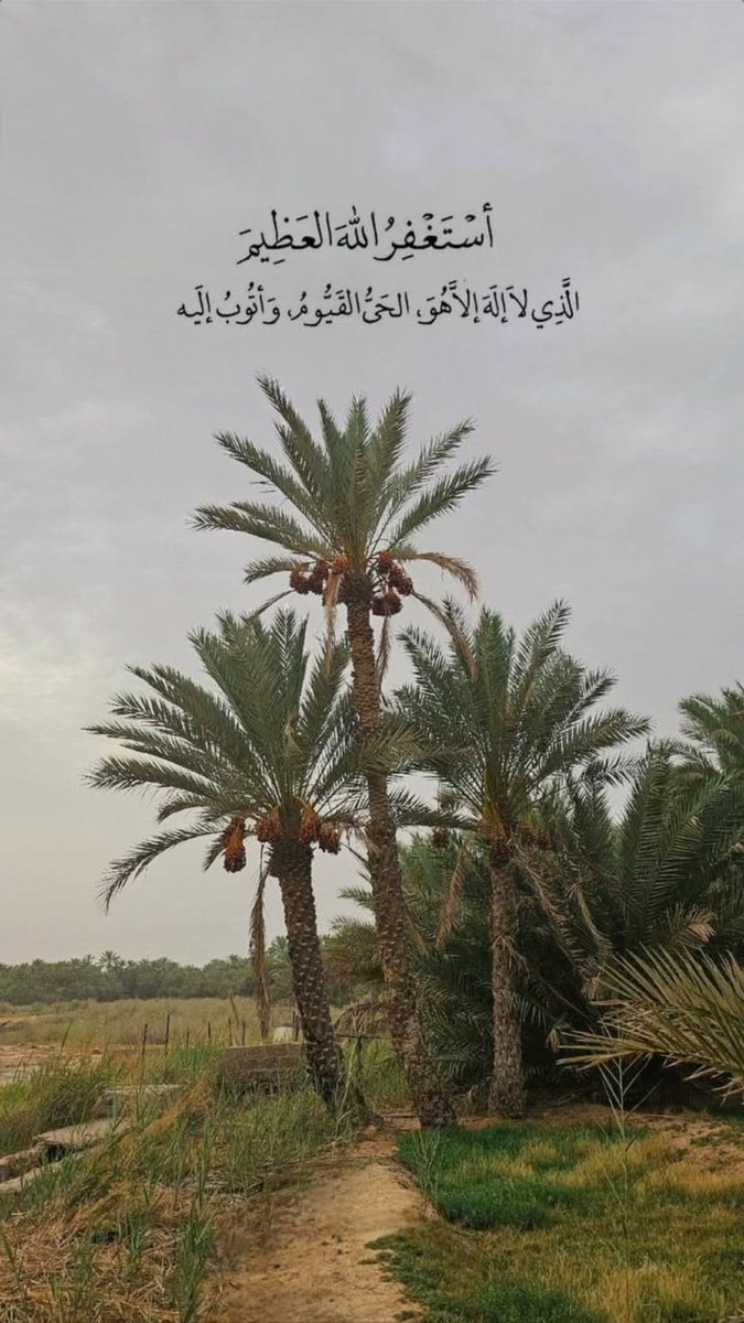 alshikah85's tweet photo. "

صباح الخير

كل الاشياء التي تصنع صباحات جميلة 

#صباح_الخيـر https://t.co/p9DPbAJFXi
