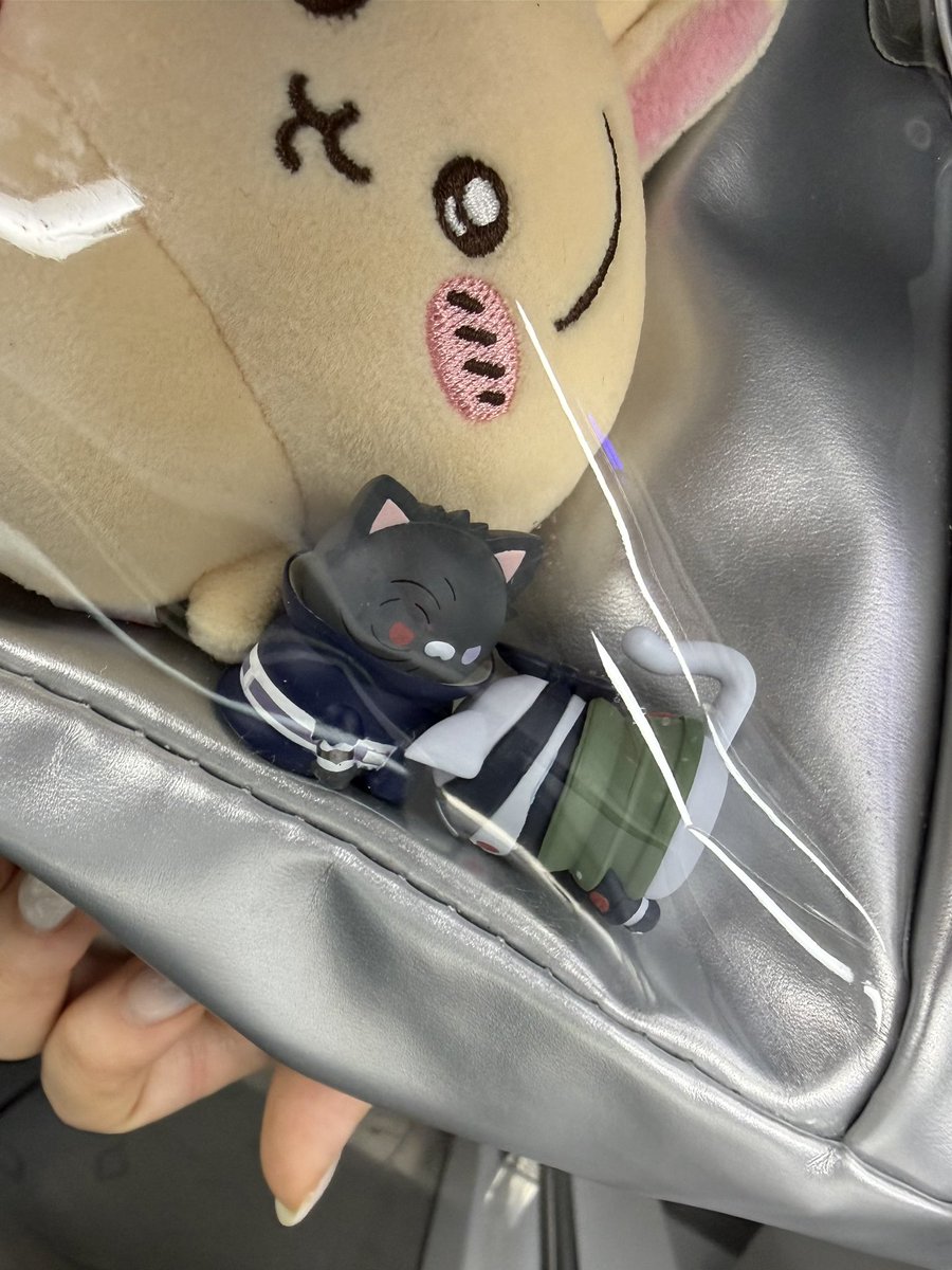 Mmu5eh1's tweet photo. 오비카카의날 기념 영화보러 가는길입니다만
니네 모하니 ? 황당 엄마는 너넬 이리 극악무도한 고양이들로 키운적이 없다 https://t.co/RvjFqsPAfh