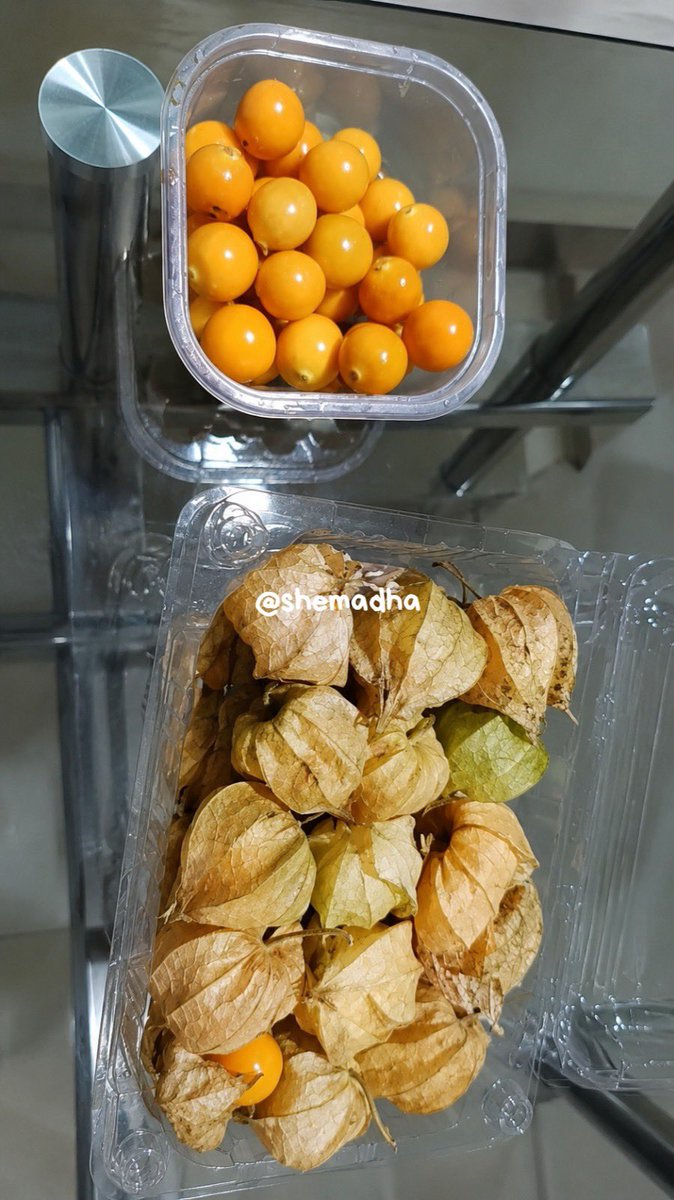 shemadha's tweet photo. buah ini👉🏻 https://t.co/IQmyw0I1Mu manfaatnya banyak banget tapi keliatannya sepele😭👍rasanya enak seger apalagi kalo dingin cocol garem bentaran udah ludes😆

gen milenial pas pulang sekolah sd pasti sering metikin dijalan nih😭👍🏻 https://t.co/TPdDGoI7Hi