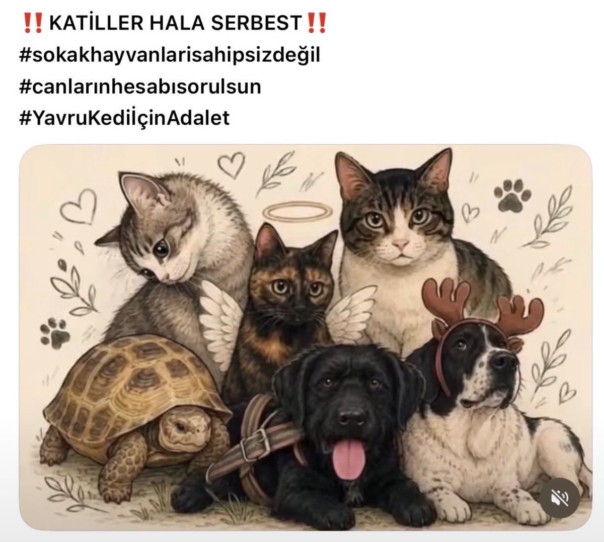 ku_ayd's tweet photo. @barolar @AlliGokce Müebbet hapis aldılar‼️Aç susuz hasta barınakda çoğu ‼️Hiç birini koruyamadık ‼️ #4EkimiKutlamıyoruz https://t.co/Jxznp7u8WJ