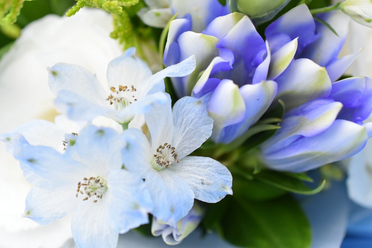 owe75erk's tweet photo. 今回のお花…菊にラメ乗ってて可愛いし薔薇もピンクブルーのグラデで可愛い https://t.co/OSely9nliR