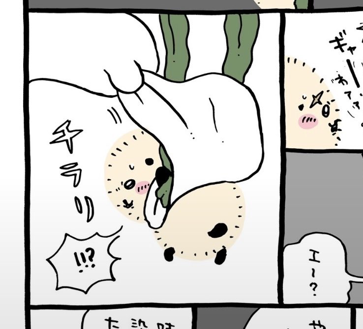 Rlantlr's tweet photo. 몬참겠네 https://t.co/H21m5hy0p8