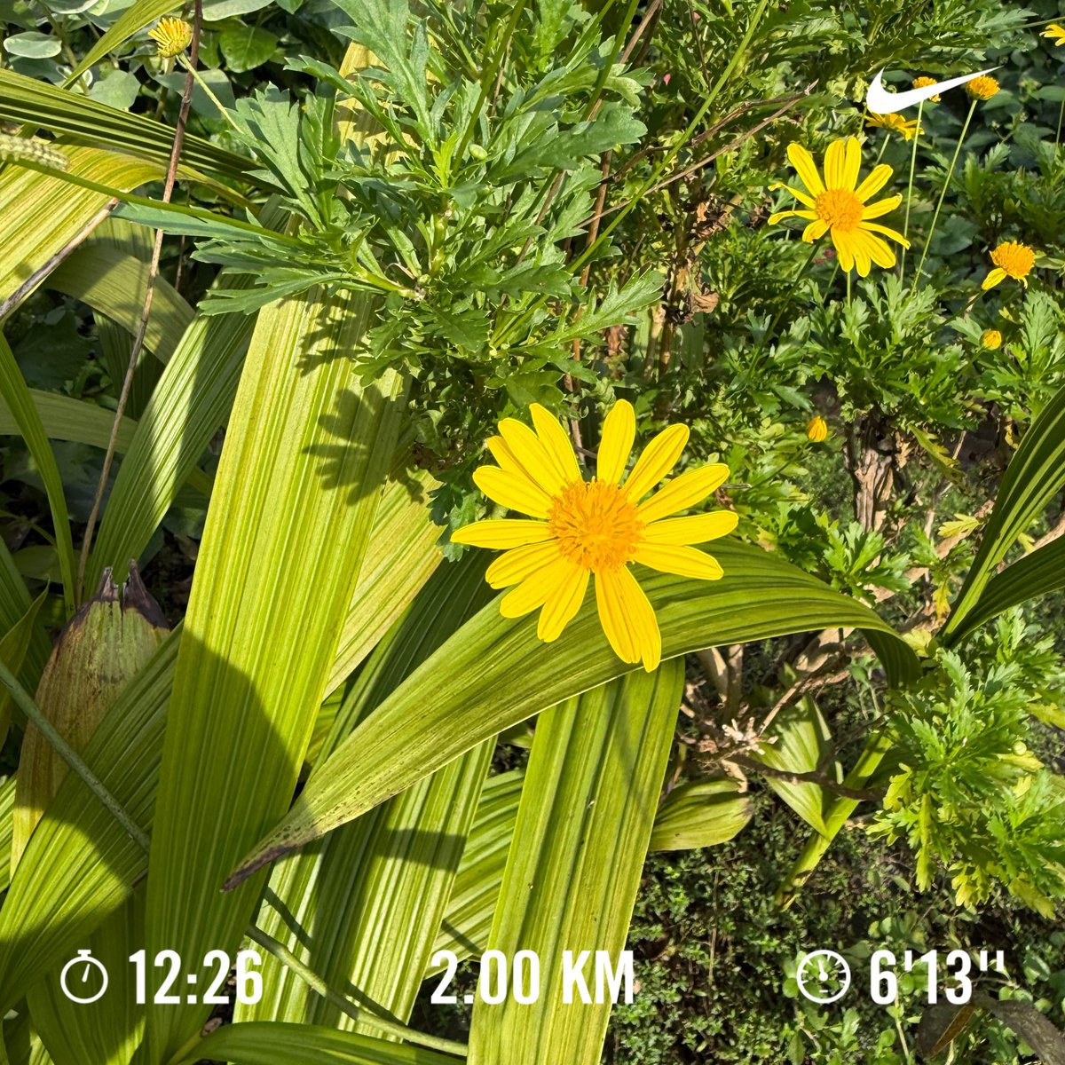 runrunrunning21's tweet photo. ランニング　#854走目 https://t.co/WmwXGqtsBi