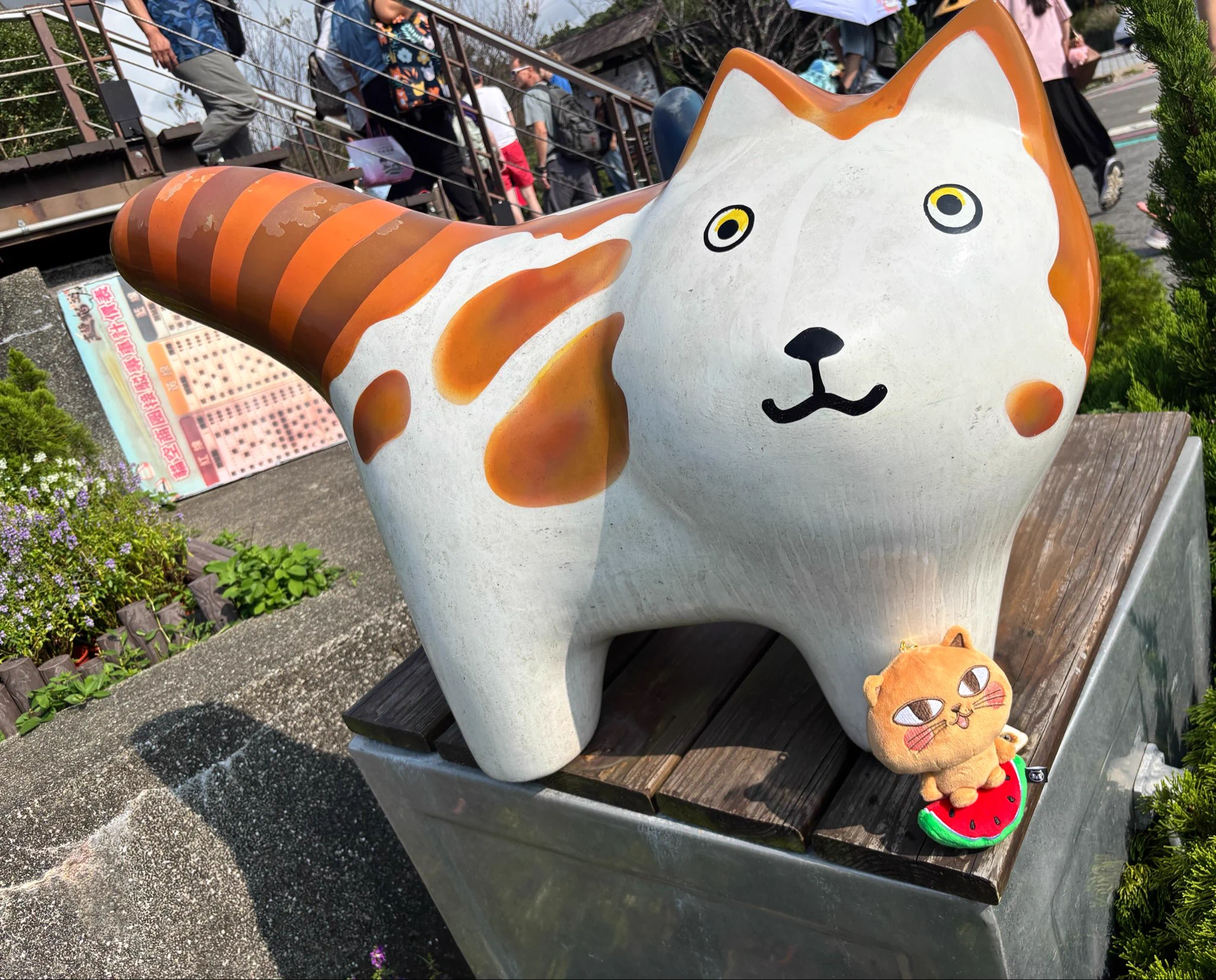 空猫 momo🍑모모🐱 on X: 
