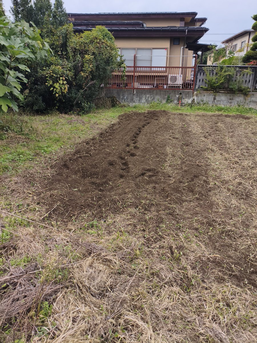 dix_nuf's tweet photo. 趣味農耕
遅いけどにんにく植える予定 https://t.co/Yz4scVVx4b