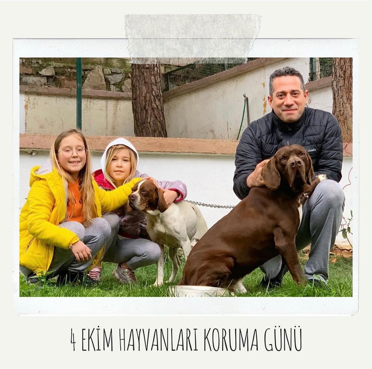 alimahir's tweet photo. Aynı gökyüzünü, aynı toprağı, aynı sevgiyi paylaşıyoruz.
Bahçemizde, sokağımızda, ormanlarımızda bizimle yaşayan canların tek isteği sevgi ve ilgi.

Yaşamın her alanında birlikteyiz!

#4EkimHayvanlarıKorumaGünü https://t.co/U3W9dtZFo2