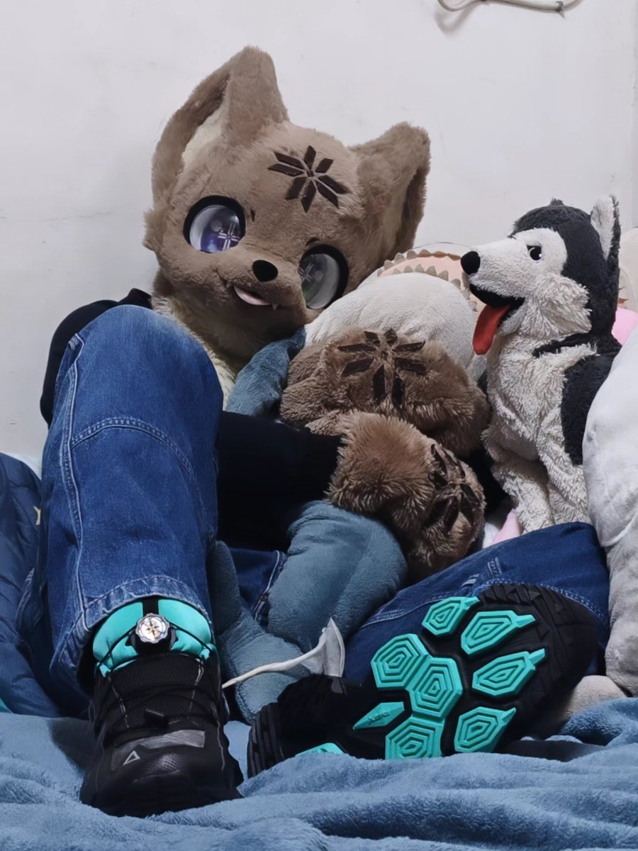 dennis6216's tweet photo. #FursuitEveryday
【開箱文】
我的旋鈕鞋帶來了
這下出毛不用煩惱綁鞋帶的問題◐ω◑
不過...這樣看起來好像童鞋😹
#開箱 #旋鈕鞋帶
#RAX #RAX銳豹鞋 https://t.co/lHzlC9FLRi