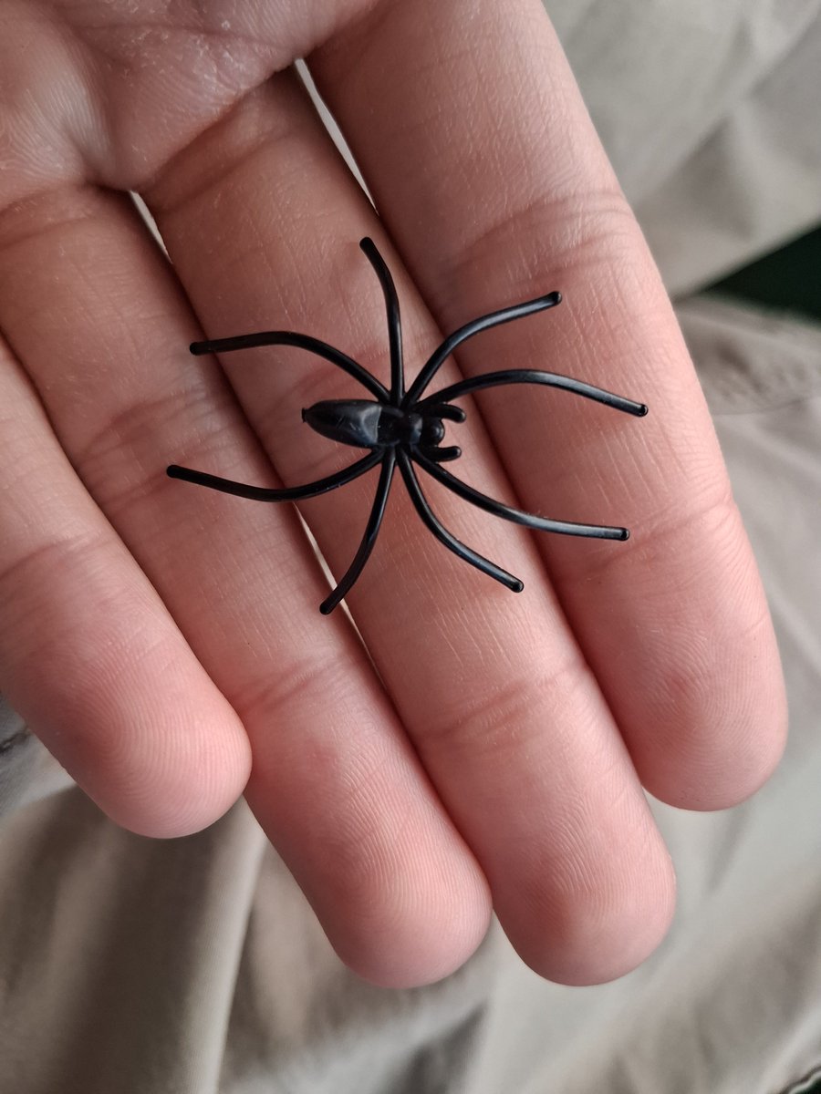 Max585449895175's tweet photo. House creature https://t.co/5PAuWxSPIm