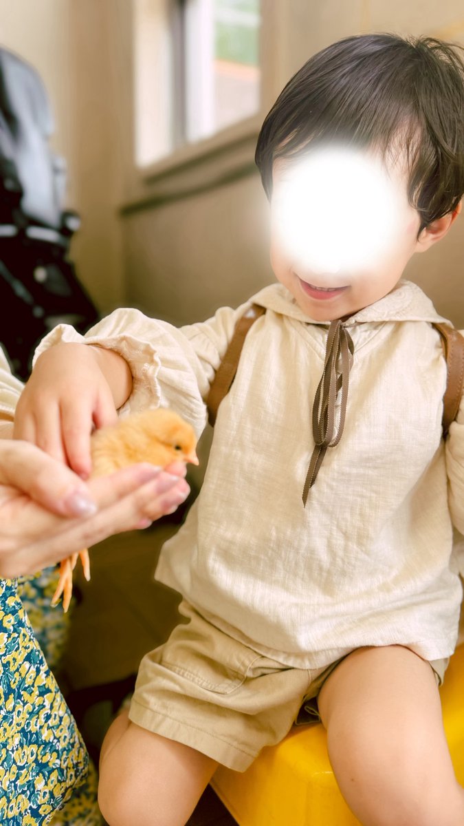 po__nsk's tweet photo. 農業センターに遊びに行ってきた🐥🌱
たくさん歩いて走って楽しかったね〜🥰 https://t.co/KsL29SYz7D