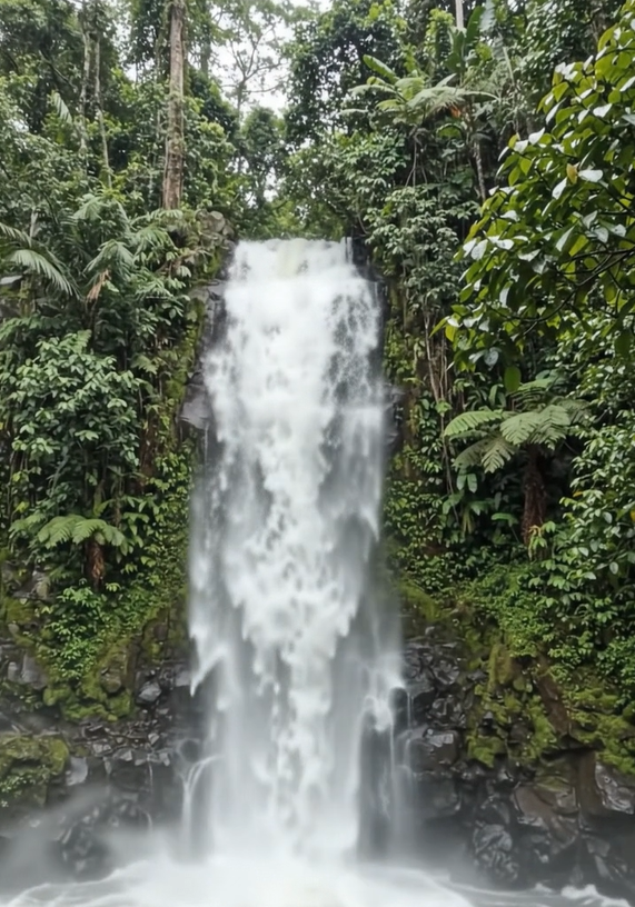 Guruji379976's tweet photo. Look At Waterfall Cascading through Jungle. 
Made with @picsartai #PicsartAI #picsartpartner @Picsart https://t.co/z7RIoioBZ5