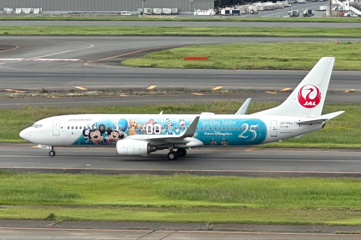 mayusupidog's tweet photo. やっと明るい時間に会えたºoº✈️🩵 https://t.co/fVkjg9v8IE