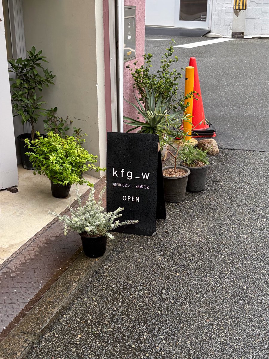 73md__ tweet picture