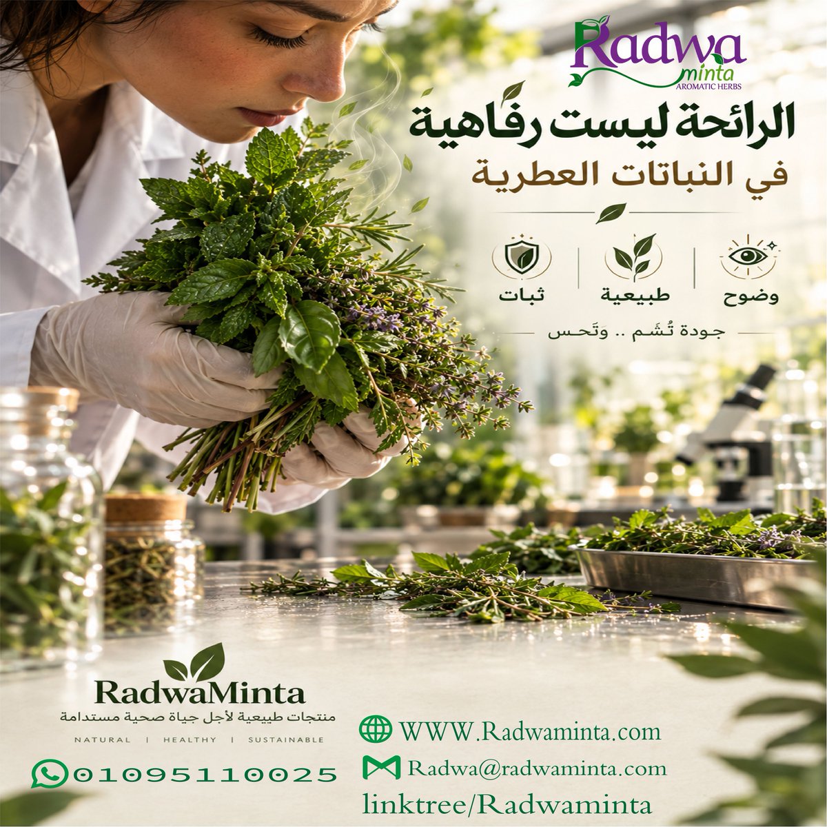 ElradwaMinta's tweet photo. في النباتات العطرية، الرائحة ليست إحساس لطيف. 🌿
الرائحة جزء من تقييم الخام نفسه.

لأن العميل الذي يستخدم النبات في شاي أعشاب،
أو نكهات،
أو زيوت،
أو منتجات عناية طبيعية،
لا يبحث عن شكل النبات فقط. https://t.co/w9AwGBb4Mb