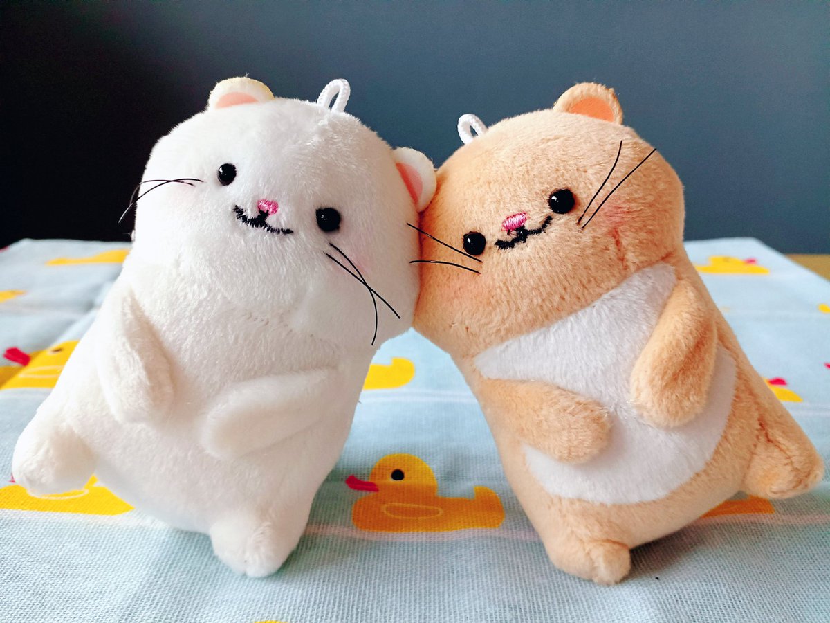 HiyokoNui's tweet photo. @babaako2023 柴犬に見えますね！U^ェ^U
うちにもほっぺたがくっつくオコジョがいます。同じシリーズかな？ https://t.co/PgQBijGgd8