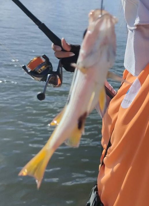 raigekiakamaru's tweet photo. 釣果、たぶんチヌは海に帰りました😇しかし雷撃シリーズの感度の良さ⚡️マイクロサイズの人中にがっちり合ってて私上手いんじゃとか思ったり😇磯に行きたいよう😭#ハヤブサワークス #雷撃シリーズ #カンツキウキ #カゴ釣り #フカセ釣り https://t.co/QTG98G350L