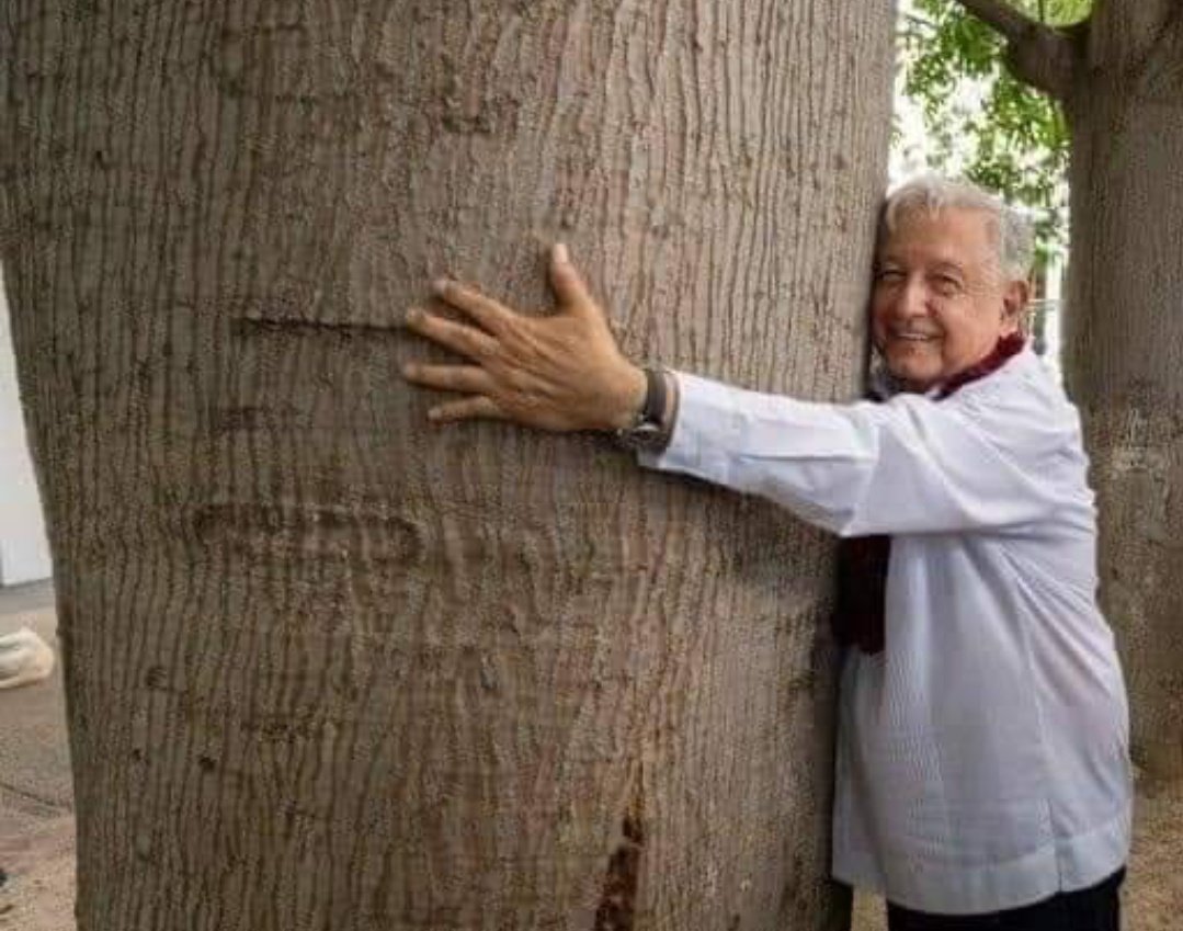 MarlenP43172394's tweet photo. 734 DÍAS Y CONTANDO BENDICIONES INFINITAS PARA MI PADRE HERMOSO @lopezobrador_ 😍
TE AMO Y TE EXTRAÑO 🇲🇽
#AMLOSEQUEDAPORSIEMPRE #ESUNHONORESTARCONOBRADOR #AMORCONAMORSEPAGA #MORENAELLEGADODEAMLO #LA4TRANSFORMACIÓNCONTINUA #ELPUEBLOPONEELPUEBLOQUITA #NOMENTIRNOROBARNOTRAICIONAR https://t.co/V6z92xyqSN